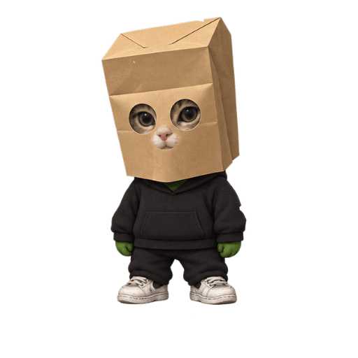 Suspect 2, paper bag over the head