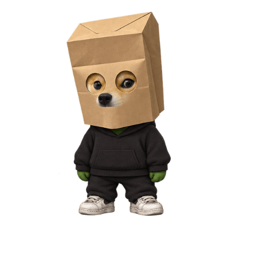 Suspect 1, paper bag over the head