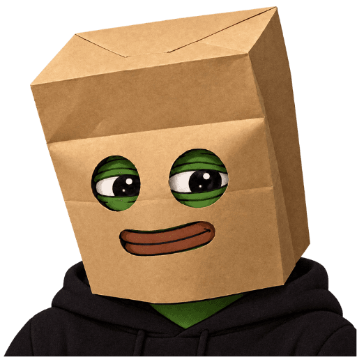 The only known image of ZPepe — paper bag, black hoodie, no face